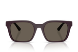 Emporio Armani Sunglasses EA4269