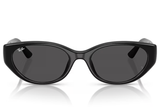 Ray-Ban Sunglass RB4457D (Pre_Booking)
