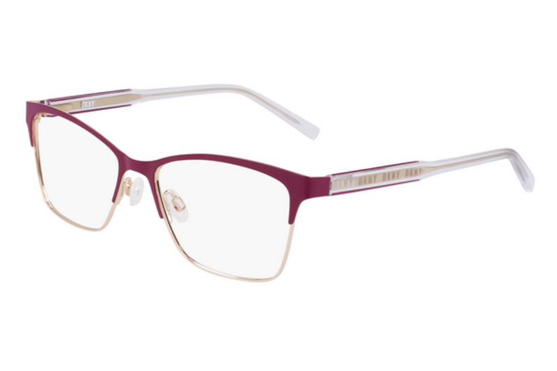 DKNY Frame 3008