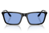 Emporio Armani Sunglasses EA4239U
