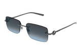 Gucci Sunglasses GG1703S
