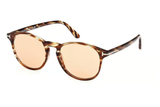Tom Ford Sunglasses  FT1097