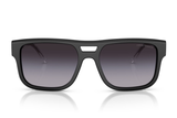 Emporio Armani Sunglasses EA4197