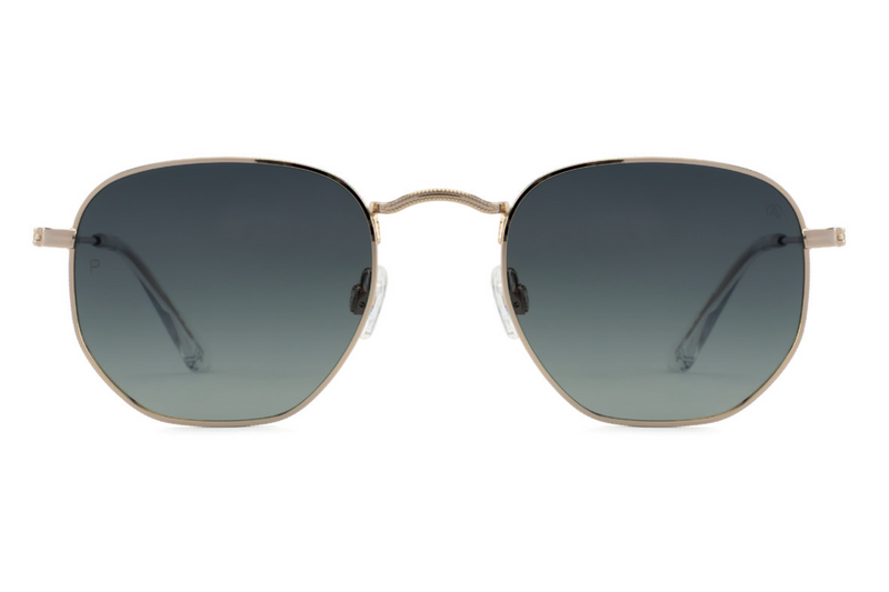 David Jones Sunglasses 0025/100