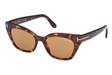 Tom Ford Sunglasses  FT1031