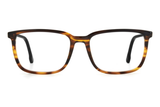 Carrera Frame CA 254