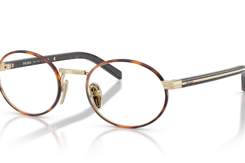 Prada Frame  PR B55V