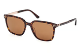 Tom Ford SUNGLASSES FT1183