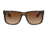 Ray-Ban Sunglass RB4167( Pre_Booking)