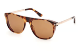Tom Ford Sunglasses FT1105
