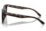 Ray-Ban Sunglass RB4421D (Pre_Booking)