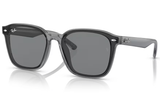 Ray-Ban Sunglass RB4392D(Pre_Booking)