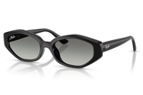 Ray-Ban Sunglass RB4473D (Pre_Booking)