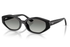 Ray-Ban Sunglass RB4473D (Pre_Booking)