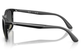 Ray-Ban Sunglass RB4460I (Pre_Booking)