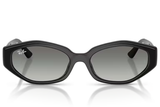 Ray-Ban Sunglass RB4473D (Pre_Booking)