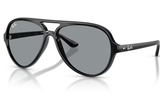 RAY-BAN Sunglasses RB4125