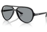 RAY-BAN Sunglasses RB4125