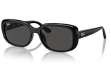 Ray-Ban Sunglass RB4421D (Pre_Booking)