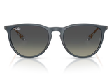 RAY-BAN Sunglasses RB4171