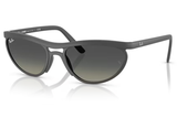 Ray-Ban Sunglass RB4453 (Pre_Booking)