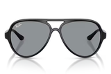 RAY-BAN Sunglasses RB4125
