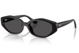 Ray-Ban Sunglass RB4473D (Pre_Booking)