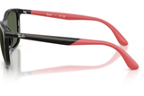 Ray-Ban Sunglass RB4460I (Pre_Booking)