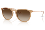 RAY-BAN Sunglasses RB4171