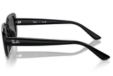 Ray-Ban Sunglass RB4421D (Pre_Booking)