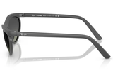 Ray-Ban Sunglass RB4453 (Pre_Booking)