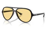 RAY-BAN Sunglasses RB4125