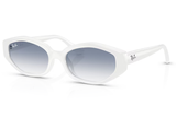 Ray-Ban Sunglass RB4473D (Pre_Booking)