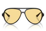 RAY-BAN Sunglasses RB4125