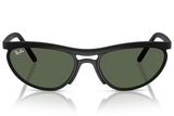 Ray-Ban Sunglass RB4453 (Pre_Booking)