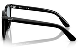 Ray-Ban Sunglass RB4401D (Pre_Booking)