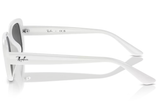 Ray-Ban Sunglass RB4421D (Pre_Booking)