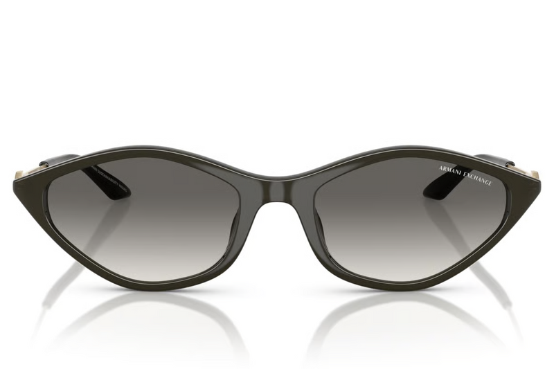 Armani Exchange Sunglasses AX4152SU