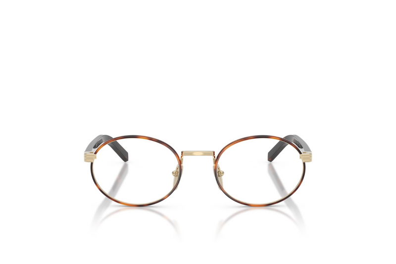 Prada Frame  PR B55V