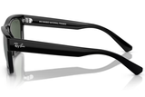 Ray-Ban Sunglass RB4396 (Pre_Booking)