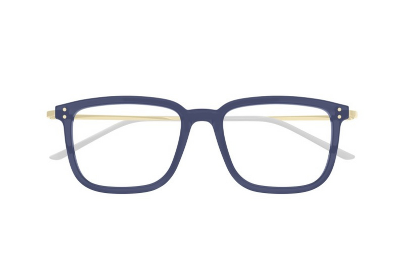 Gucci Frame GG1709O