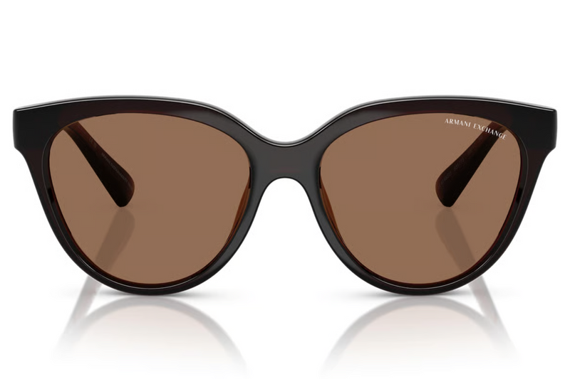 Armani Exchange Sunglasses AX4148SU