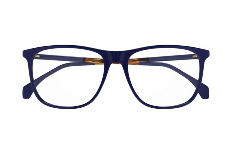 Gucci Frame GG0554O