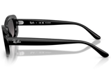 Ray-Ban Sunglass RB2221 (Pre_Booking)