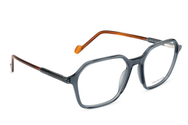 David Jones Frame 2298