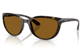 Ray-Ban Sunglass RB4167( Pre_Booking)