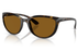 Ray-Ban Sunglass RB4167( Pre_Booking)