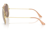 Ray-Ban Sunglass RB3029M (Pre_Booking)