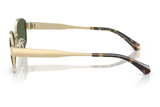 Michal Kors Sunglasses MK1161