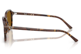 Ray-Ban Sunglass RB2231 (Pre_Booking)